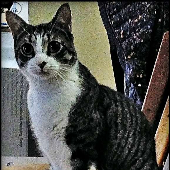 Meet your Posher, Natane - Picture 1 of 1